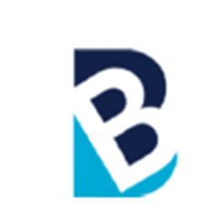 Bluebiz LLC